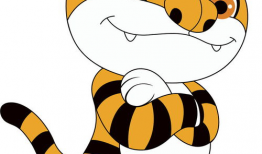 虎动漫,激荡青春，热血沸腾的动漫世界